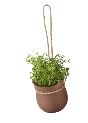 Indoor planters