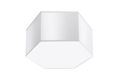 Ceiling flush mounts
