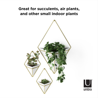  Umbra Trigg White-Brass Large wall flowerpot - 6