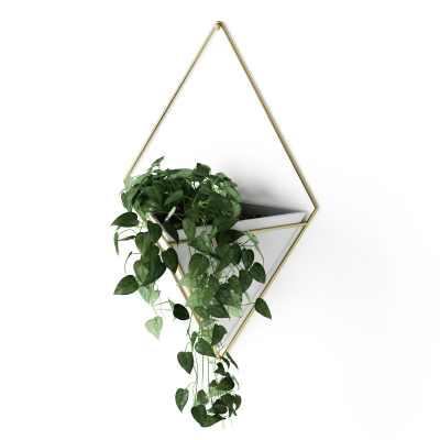  Umbra Trigg White-Brass Large wall flowerpot