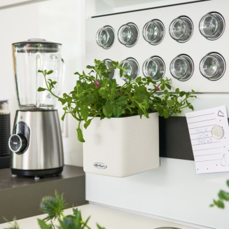  Lechuza Cube Color Home Kit wall flowerpot, gray - 2