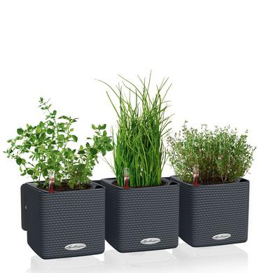  Lechuza Cube Color Home Kit wall flowerpot, gray