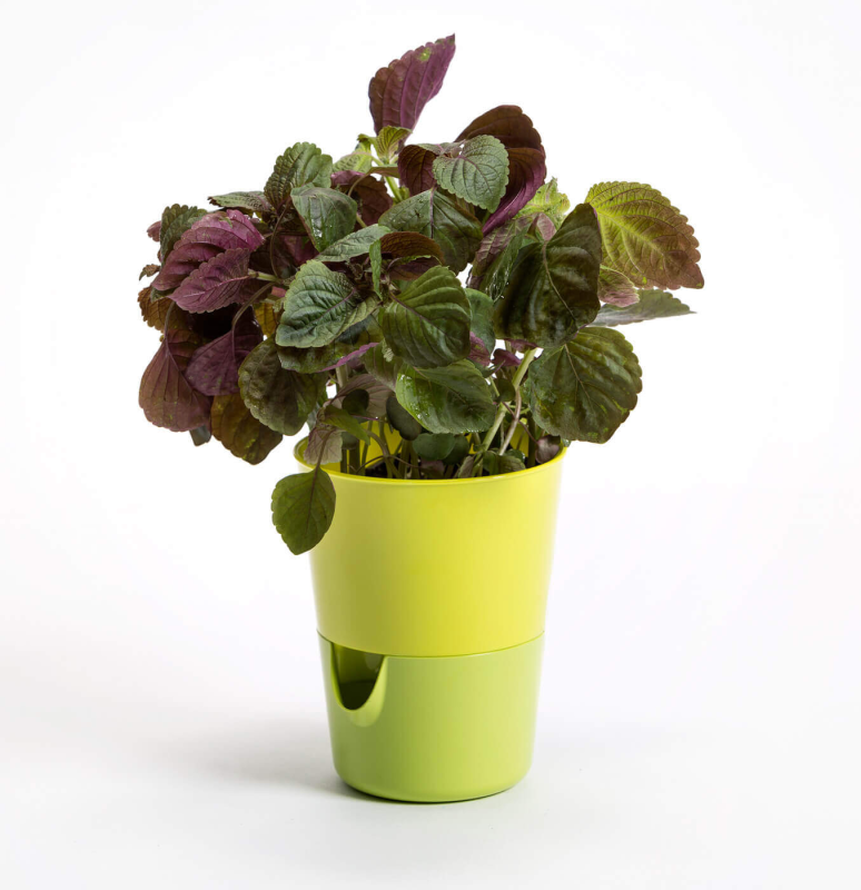 PLASTIA ROSMARIN Doniczka samonawadniająca 11 cm żółty