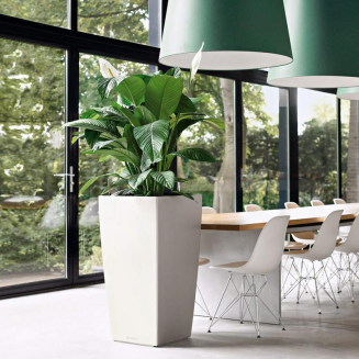  Lechuza Cubico Premium 22 flowerpot | 30 | 40 | 50 white gloss - 11