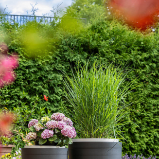 PLASTIA BERBERIS Donica samonawadniająca okrągła 46 cm szary - 6