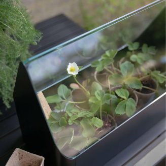 Donica z szklarnią Eva Solo Simply Grow Mini Greenhouse - 4