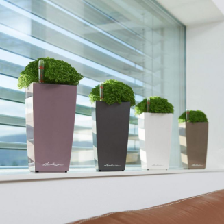 Lechuza Mini Cubi flowerpot | Maxi Cubi anthracite metallic - 8