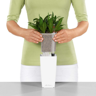  Lechuza Mini Cubi flowerpot | Maxi Cubi anthracite metallic - 9