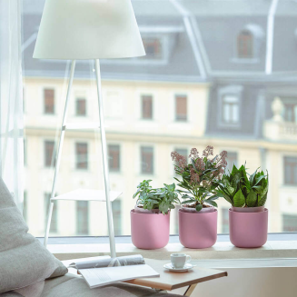 PLASTIA TOLITA Donica samonawadniająca okrągła 16 cm różowy - 7