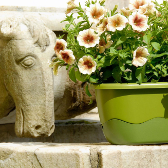 PLASTIA MARETA Donica samonawadniająca prostokątna 60x20 cm zielony - 2