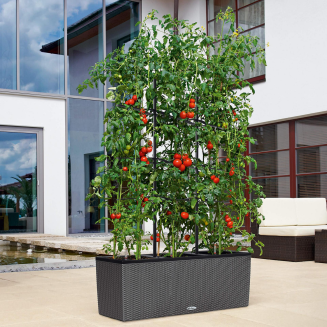  Climber trellis for Lechuza Trio 30 pots | 40 - 4