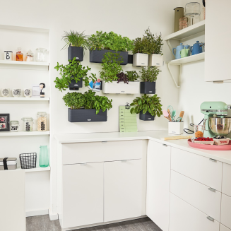 Lechuza Cube Glossy Home Kit wall flowerpot, white gloss - 2