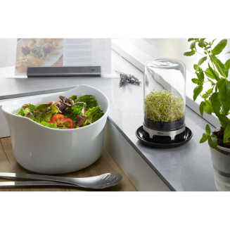  Glass greenhouse container for Gefu BIVITA sprouts - 2