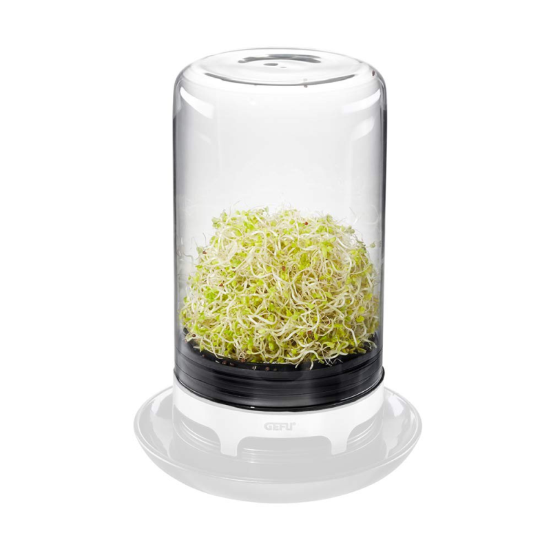  Glass greenhouse container for Gefu BIVITA sprouts