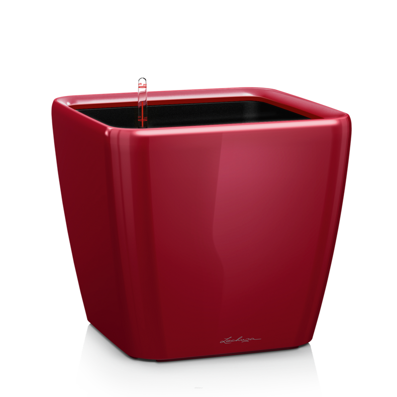  Lechuza Quadro Premium LS 21 flowerpot | 28 | 35 | 43 | 50 red gloss