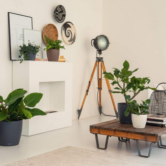  Lechuza Classico Color 18 flowerpot | 21 | 28 | 35 | 43 | 60 | 70 white - 12