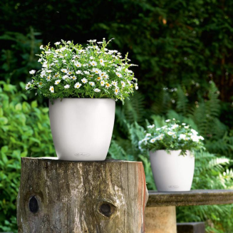  Lechuza Classico Color 18 flowerpot | 21 | 28 | 35 | 43 | 60 | 70 white - 14