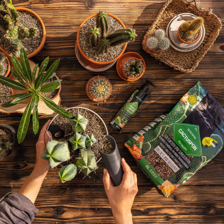 Lechuza Cactuspon substrate 6l - 4
