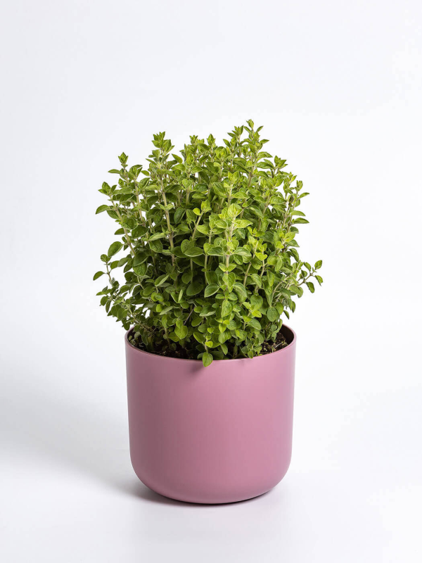 PLASTIA TOLITA Doniczka samonawadniająca okrągła z wkładem 16 cm różowy