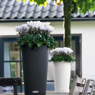 Lechuza Cilindro Color 32 flowerpot white - 9