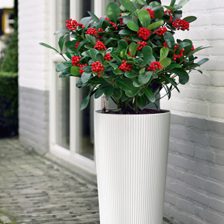 Lechuza Cilindro Color 32 flowerpot white - 5
