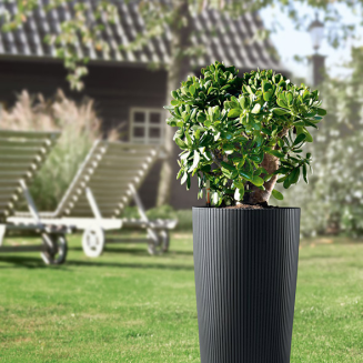  Lechuza Cilindro Color 32 planter sand brown - 7