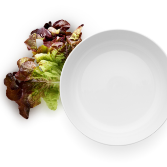 Eva Solo Legio Nova bowl 3.3 l - 3