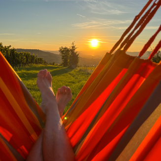 La Siesta Cumbia Outdoor Toucan hanging seat - 8