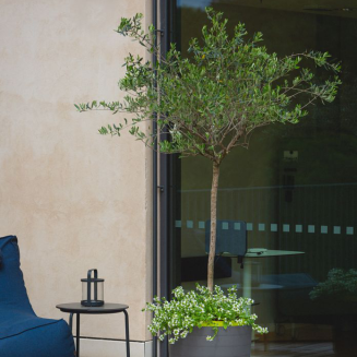 Duża donica samonawadniająca okrągła Plastia Berberis 55 cm szaro-brązowy - 5