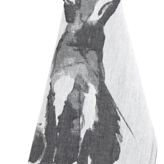  Lapuan Kankurit KETTU cloth 46x70 cm - 2