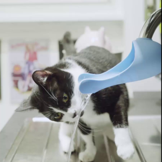 Poidło dla kotów United Pets Gurgle kolor morski - 6