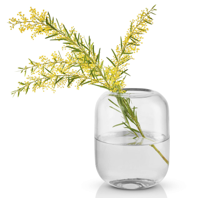  Eva Solo Acorn Clear vase 16 cm