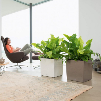  Lechuza Cube Premium 30 flowerpot | 40 | 50 silver metallic - 10