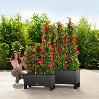  Lechuza Trio Cottage 30 planter | 40 granite - 9