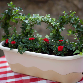 PLASTIA MARETA Donica samonawadniająca prostokątna 80x20 cm kremowy - 2