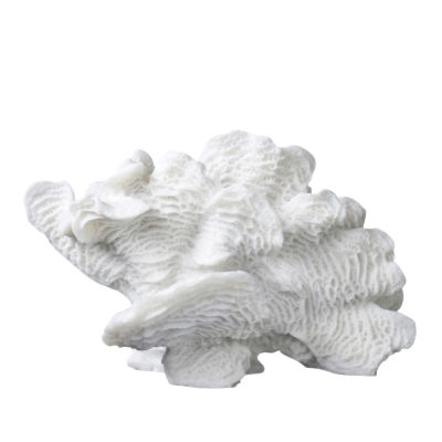 Dekoracja Mette Ditmer Coral Fan Large