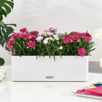 Lechuza Balconissima 40 planter with white handle - 8