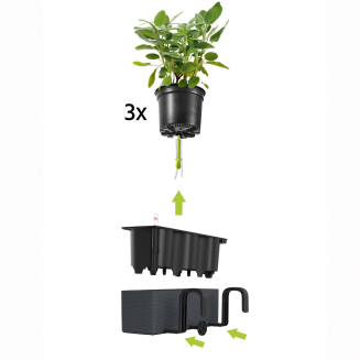 Lechuza Balconissima 40 planter with white handle - 5