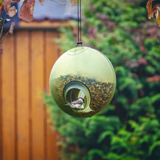 PLASTIA BERRY Karmnik dla ptaków 19x27 cm zielony - 5