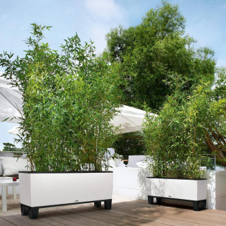  Lechuza Trio Cottage 30 planter | 40 mocha - 8