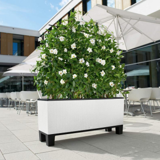  Lechuza Trio Cottage 30 planter | 40 mocha - 9
