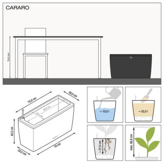  Lechuza Cararo Premium black gloss flowerpot - 3
