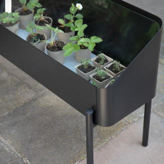 Donica z mini szklarnią Eva Solo Simply Grow Spire - 9