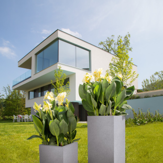  Lechuza Canto Stone planter 30 stone gray cubes - 8