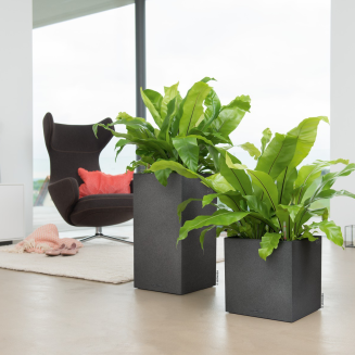  Lechuza Canto Stone planter 30 column graphite black - 9