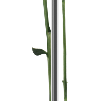  Eva Solo Rain Gauge on Tripod - 3