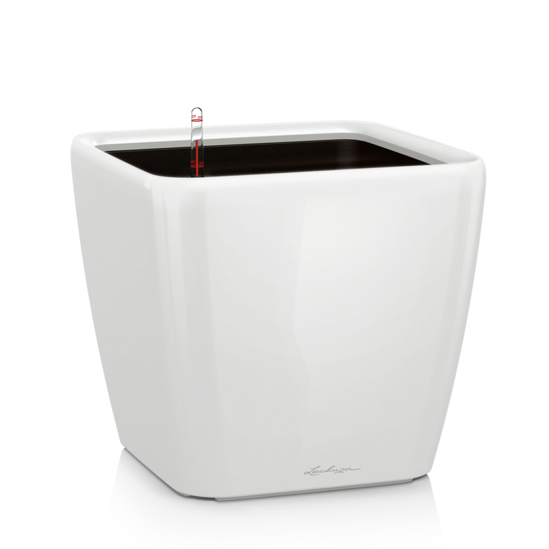  Lechuza Quadro Premium LS 21 flowerpot | 28 | 35 | 43 | 50 white gloss