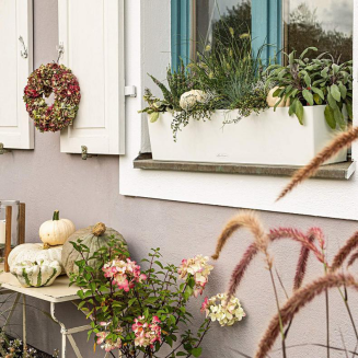  Lechuza Balconera Color 50 flowerpot | 80 nutmeg - 12