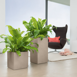  Lechuza Canto Stone 40 cube sand beige flowerpot - 7