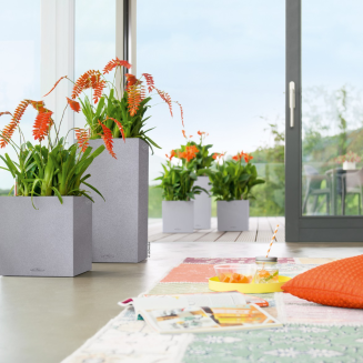  Lechuza Canto Stone 40 cube sand beige flowerpot - 13